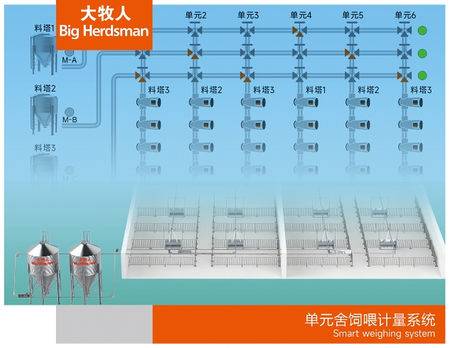 單元舍飼喂計量系統(tǒng)